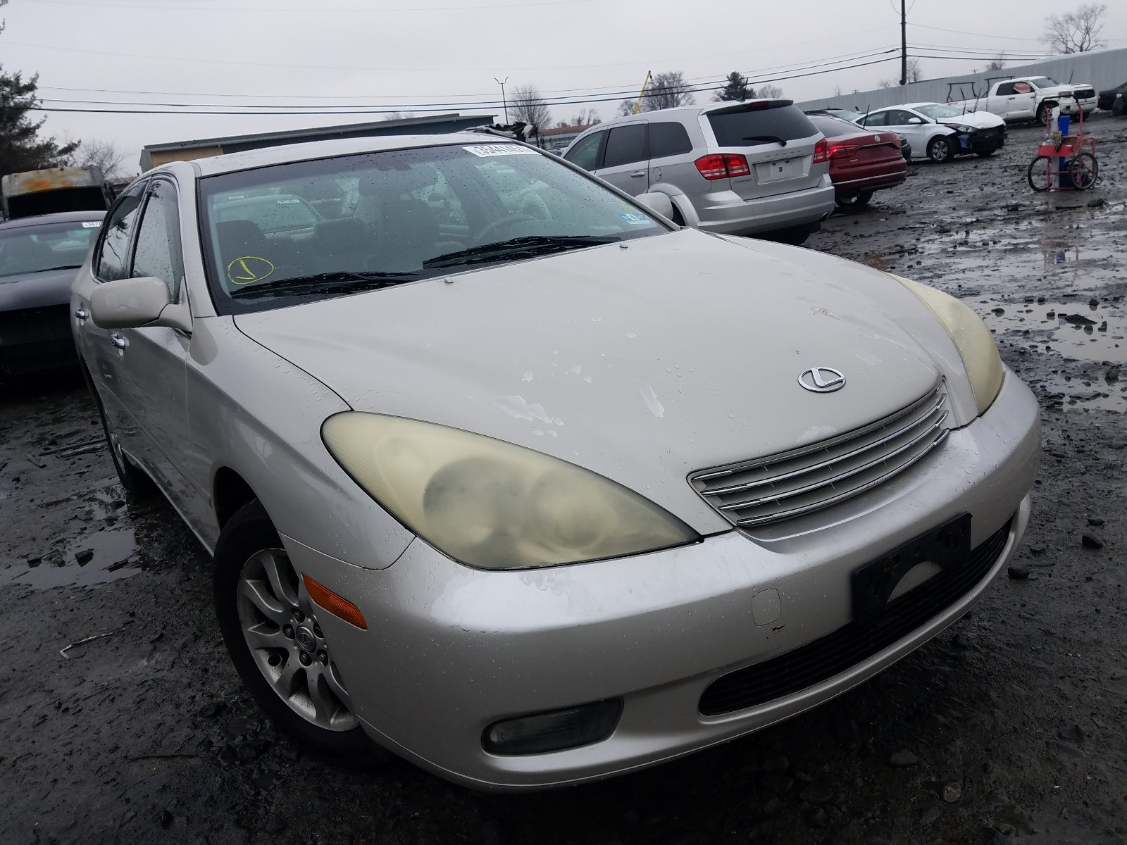 LEXUS ES 300 2003 jthbf30g330137507