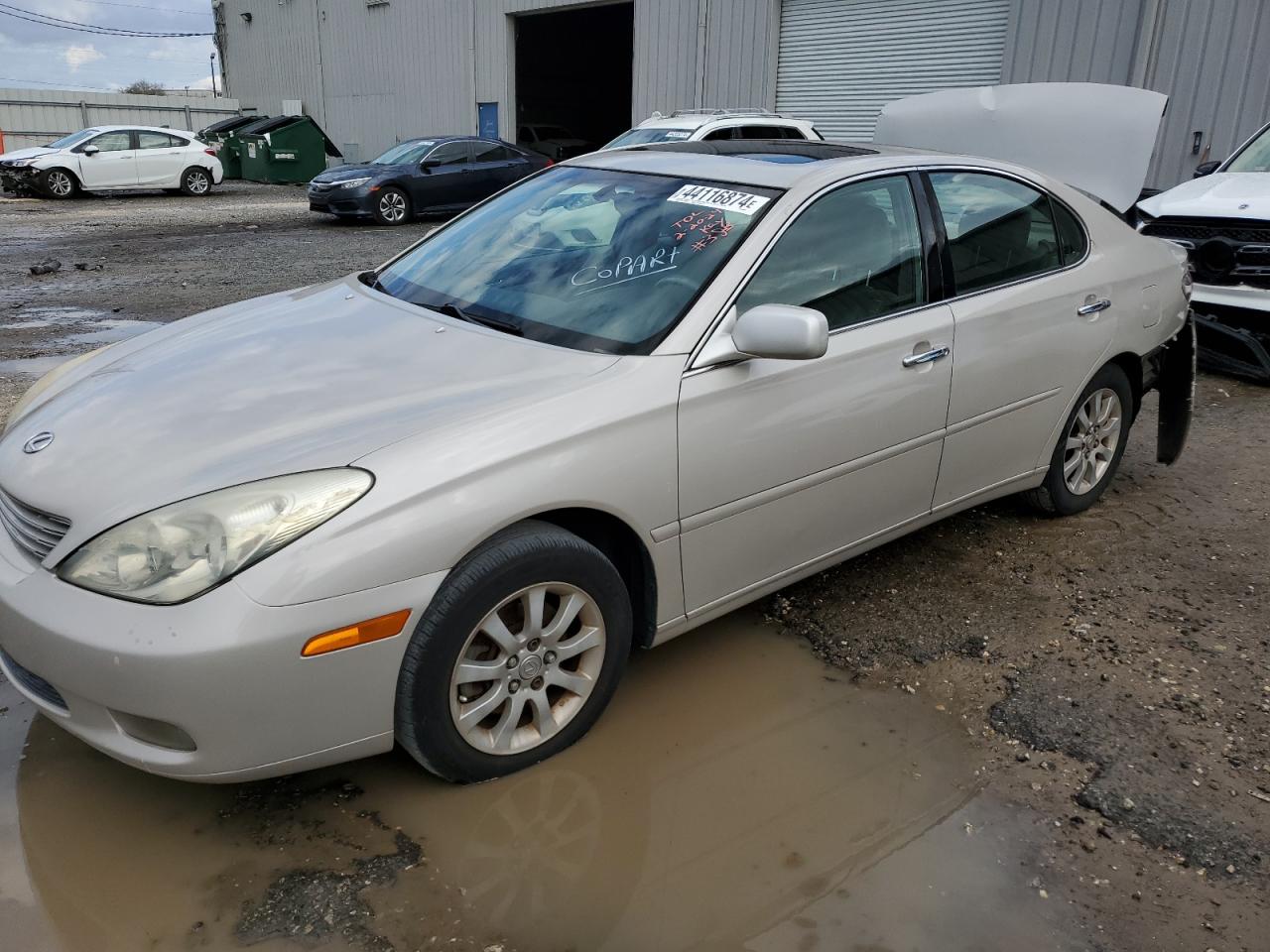 LEXUS ES 2002 jthbf30g420059091