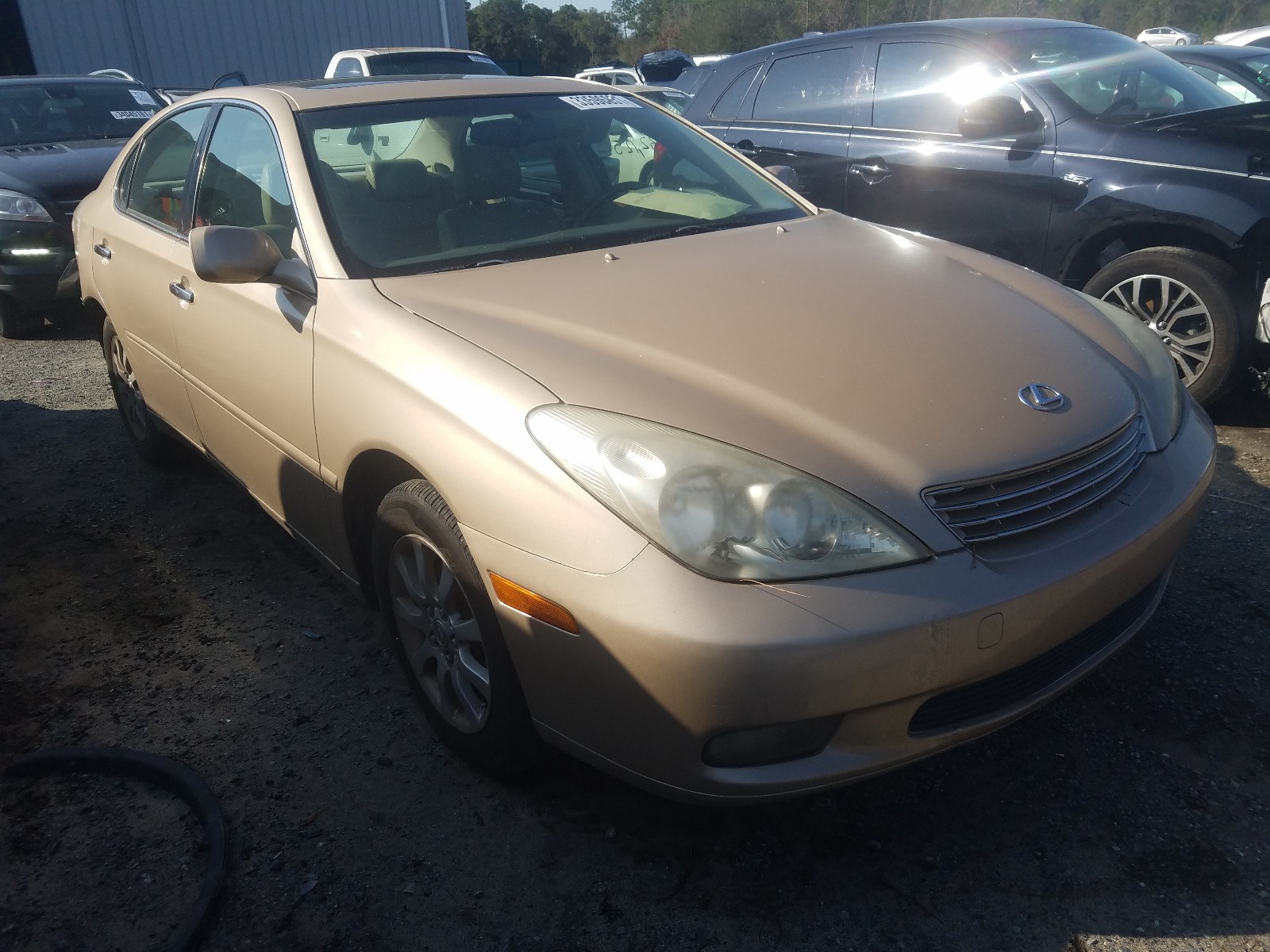 LEXUS ES 300 2002 jthbf30g520026049