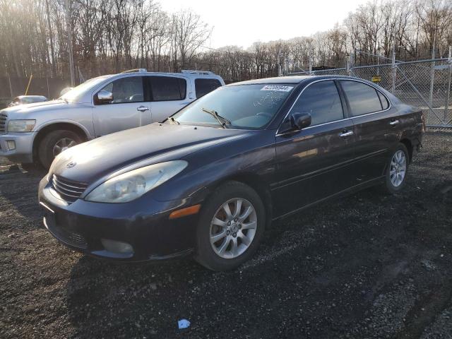 LEXUS ES300 2002 jthbf30g520071024