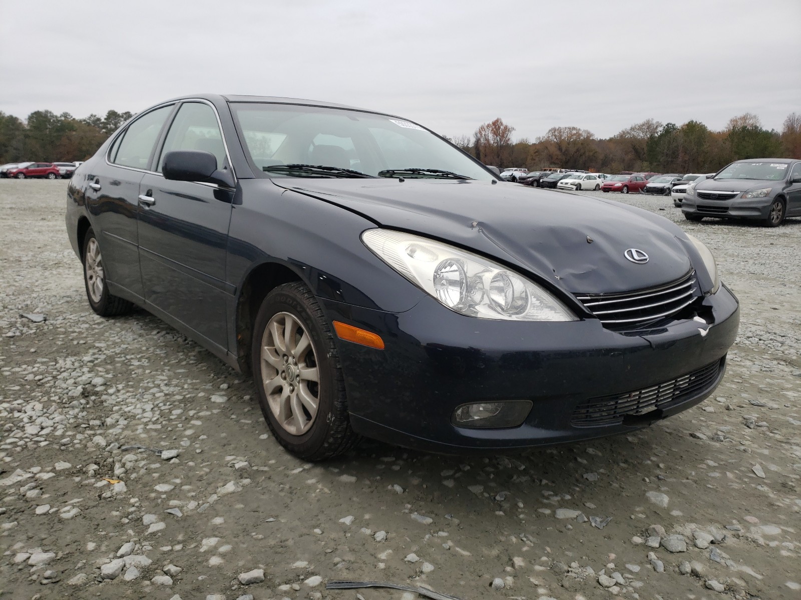 LEXUS ES 300 2002 jthbf30g520080225