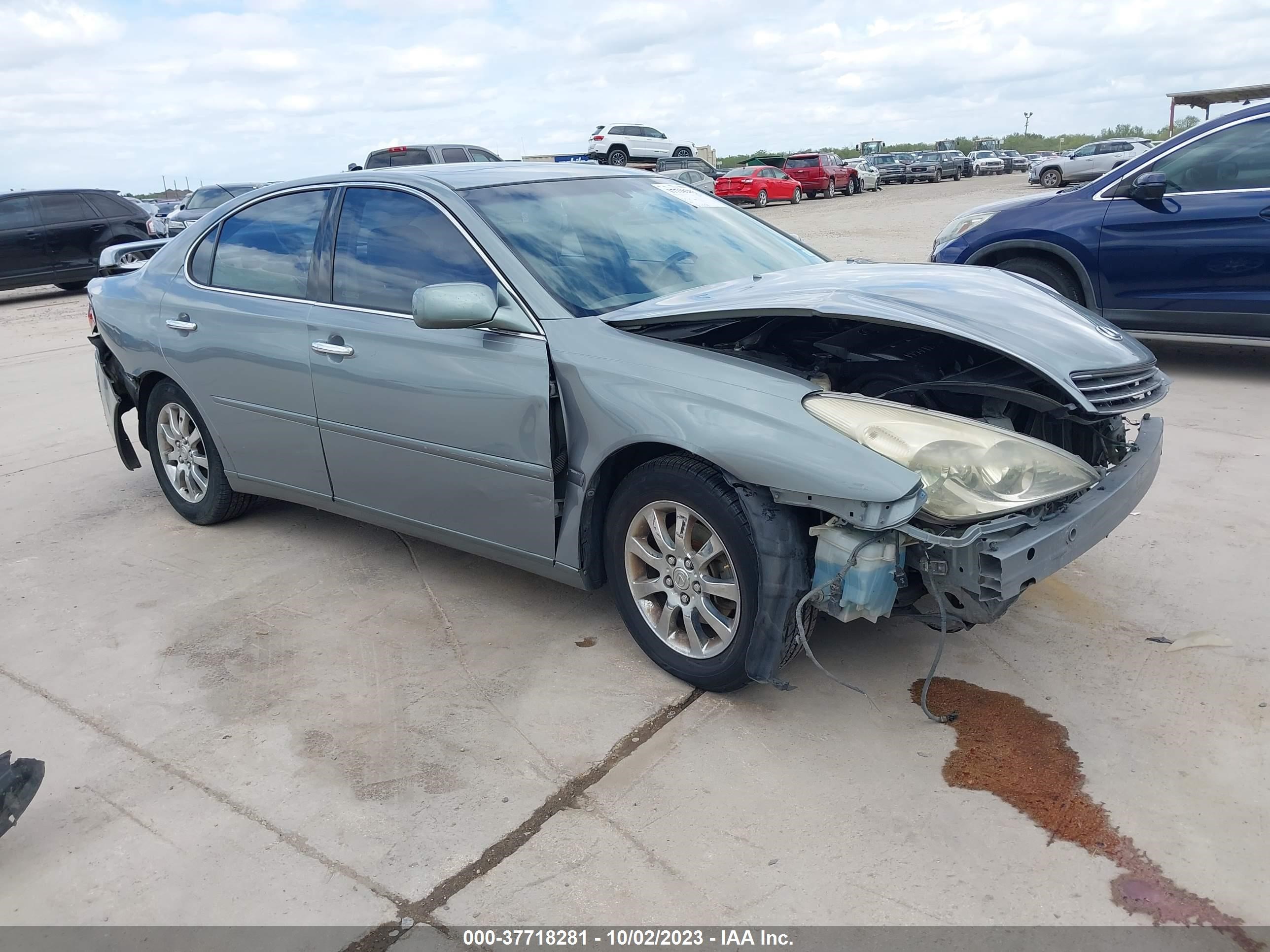 LEXUS ES 2003 jthbf30g736006013