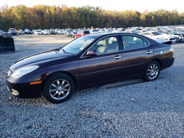 LEXUS ES300 2002 jthbf30g825034293