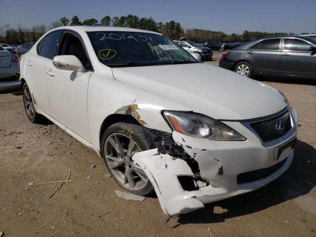 LEXUS IS 250 2010 jthbf5c25a5120042