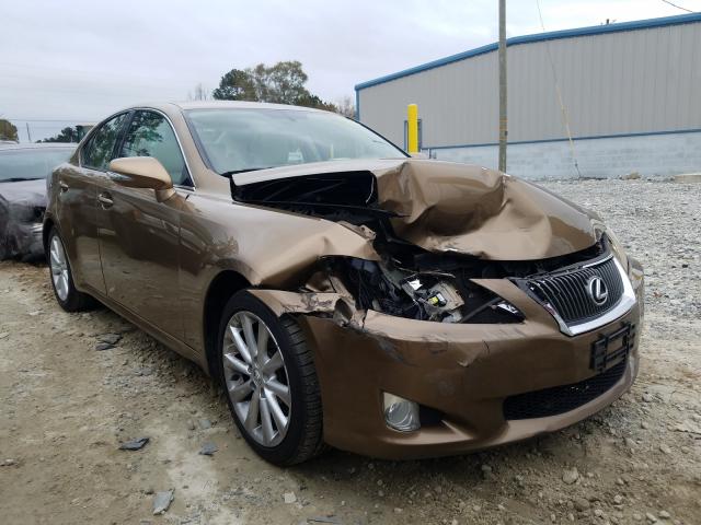 LEXUS IS 250 2010 jthbf5c27a2098305