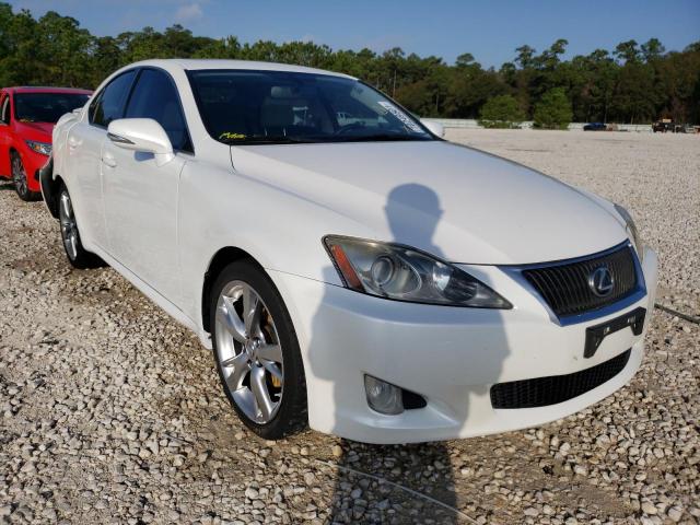 LEXUS IS 250 2010 jthbf5c29a2094949