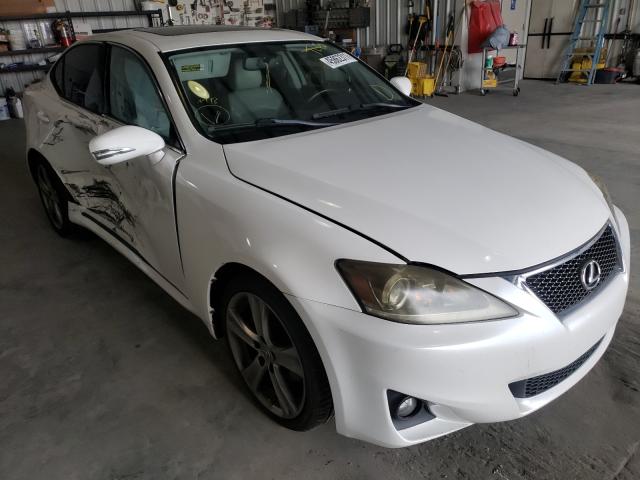 LEXUS IS 250 2011 jthbf5c29b5134320