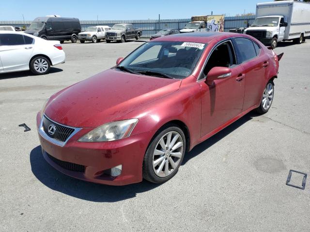 LEXUS IS 250 2010 jthbf5c2xa5124247