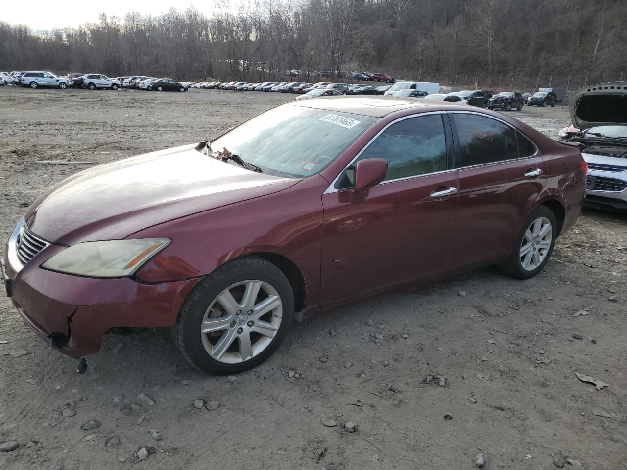 LEXUS ES 2007 jthbj46g172041381