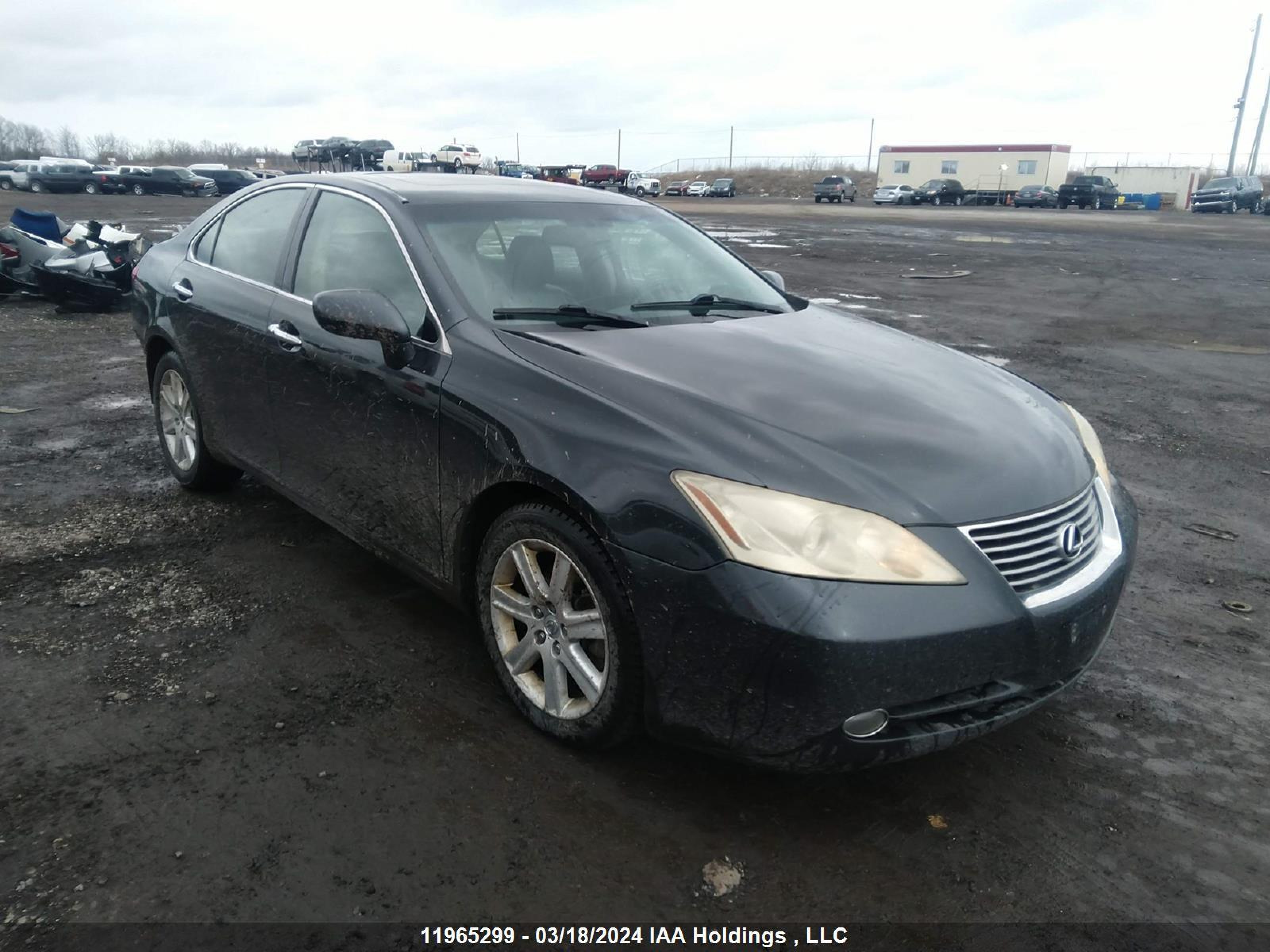 LEXUS ES 2009 jthbj46g192315116