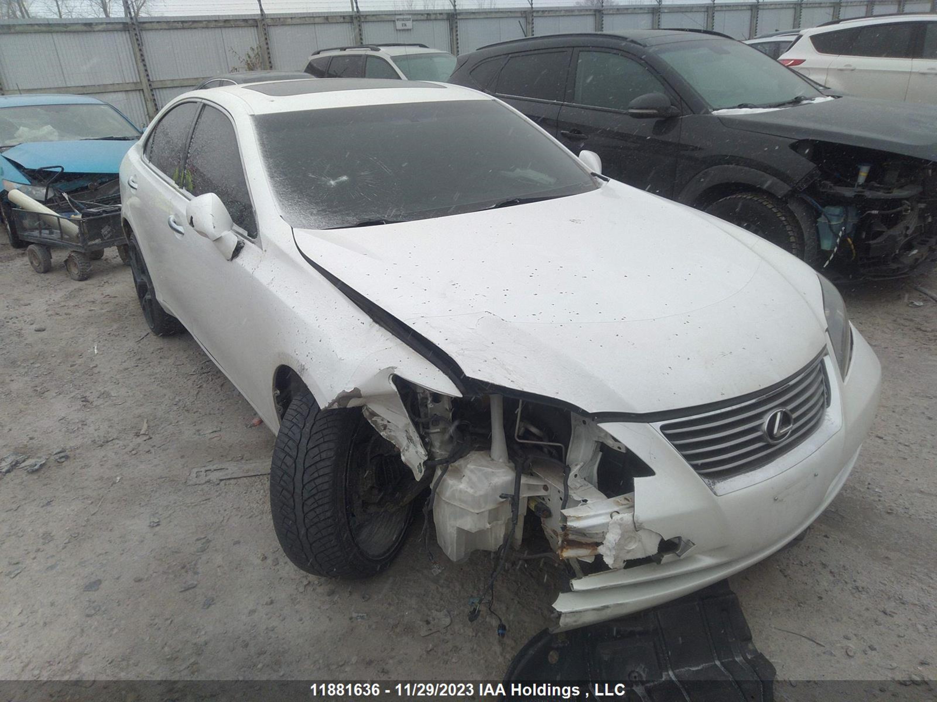 LEXUS ES 2009 jthbj46g192315391