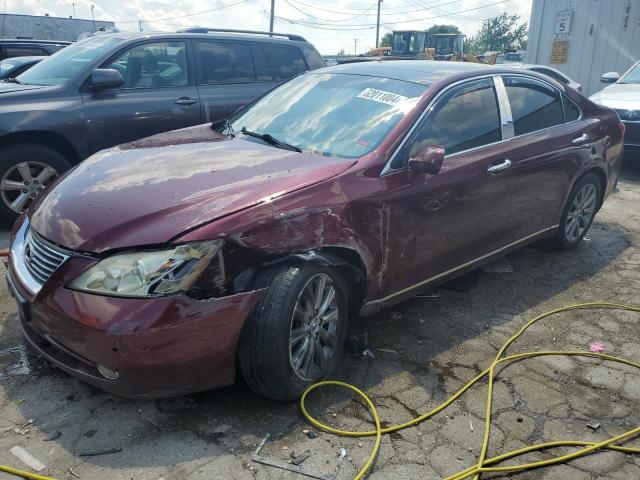 LEXUS ES350 2008 jthbj46g282207876