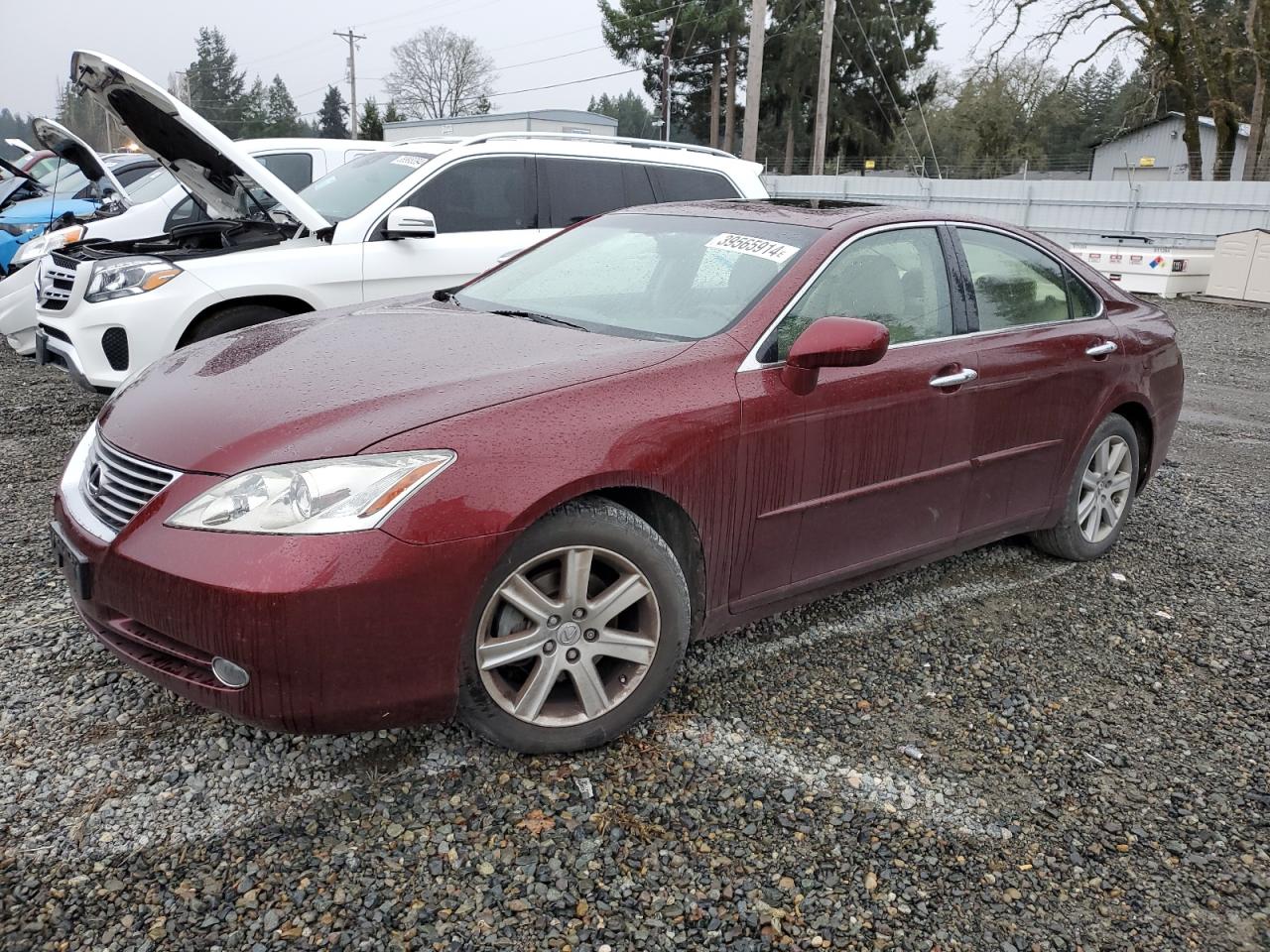 LEXUS ES 2008 jthbj46g282270685