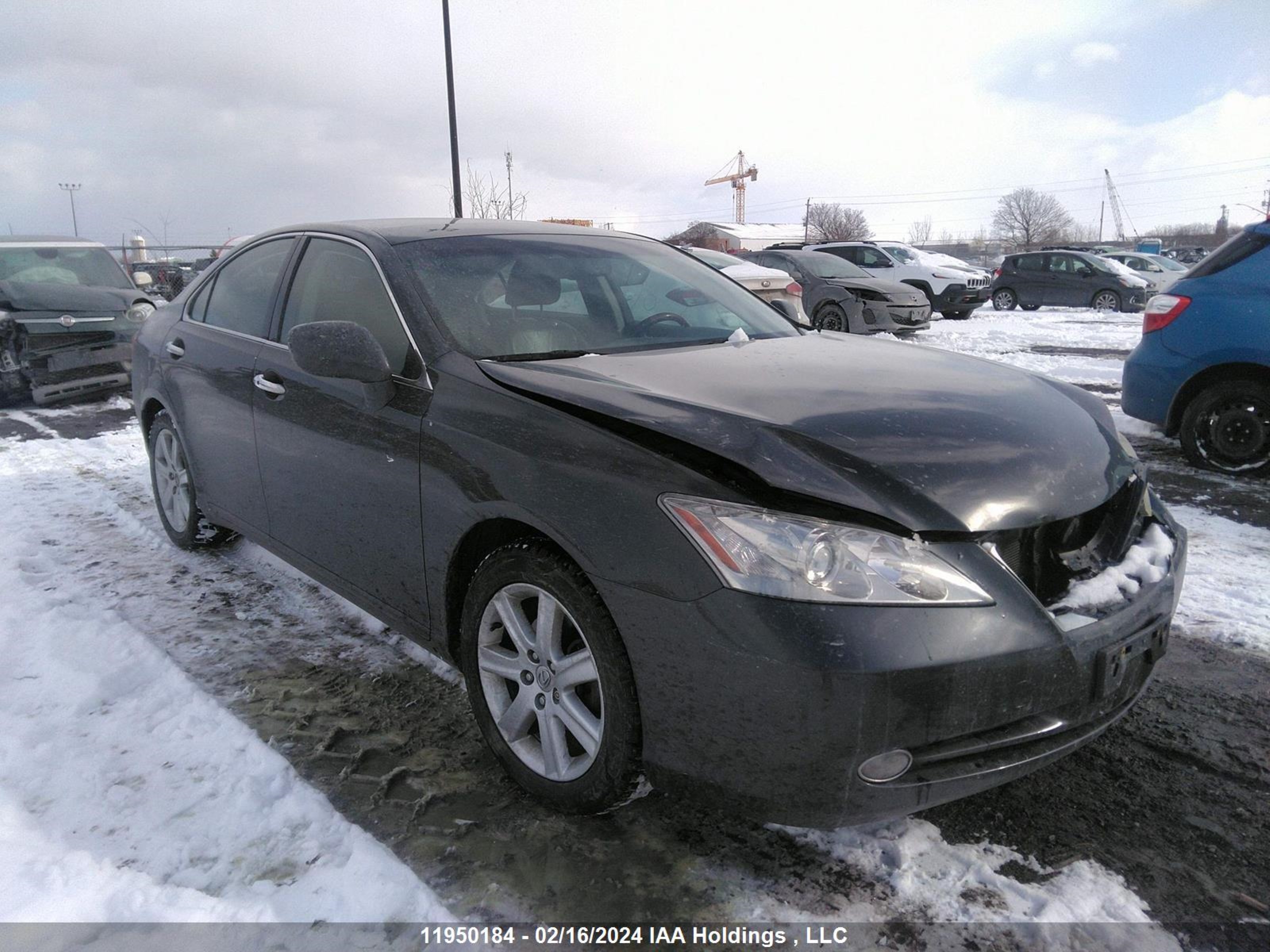 LEXUS ES 2007 jthbj46g372040622