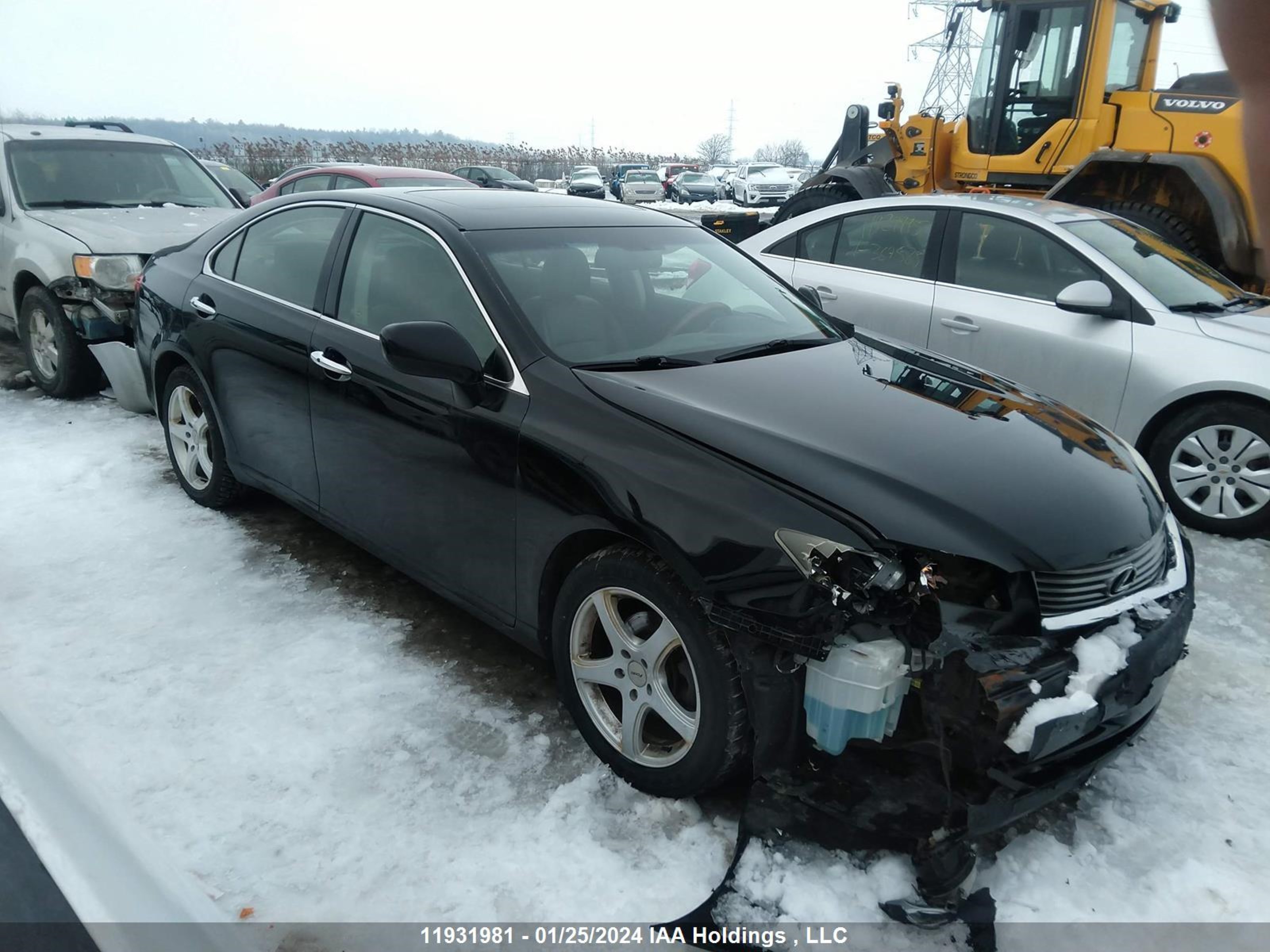 LEXUS ES 2007 jthbj46g372130532