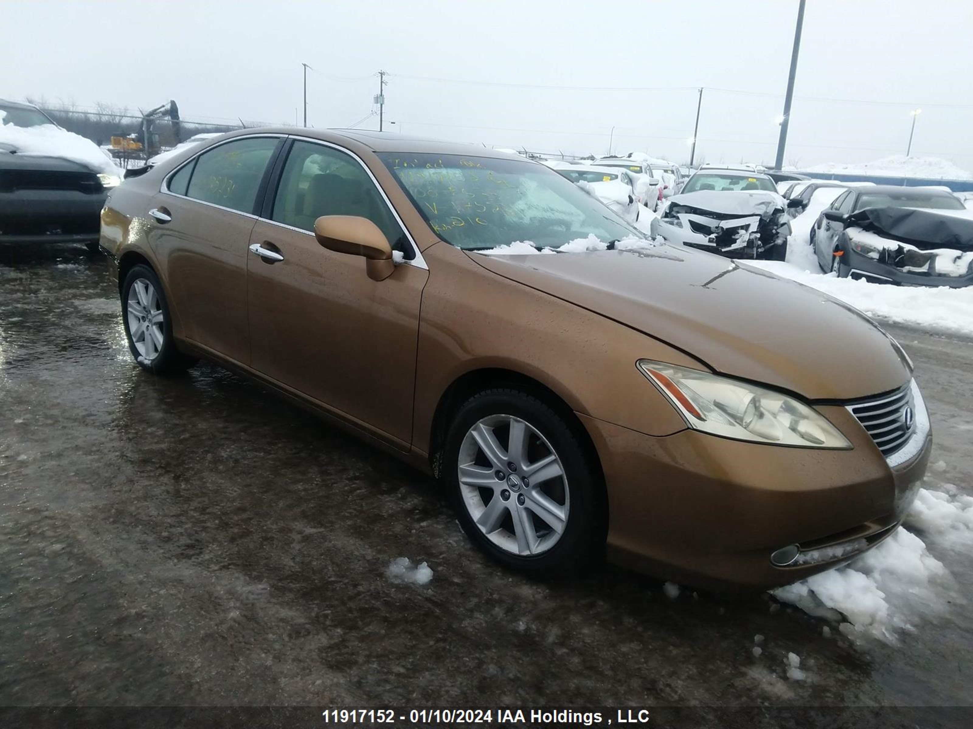 LEXUS ES 2008 jthbj46g382175231