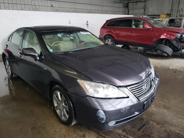 LEXUS ES 350 2008 jthbj46g582259955