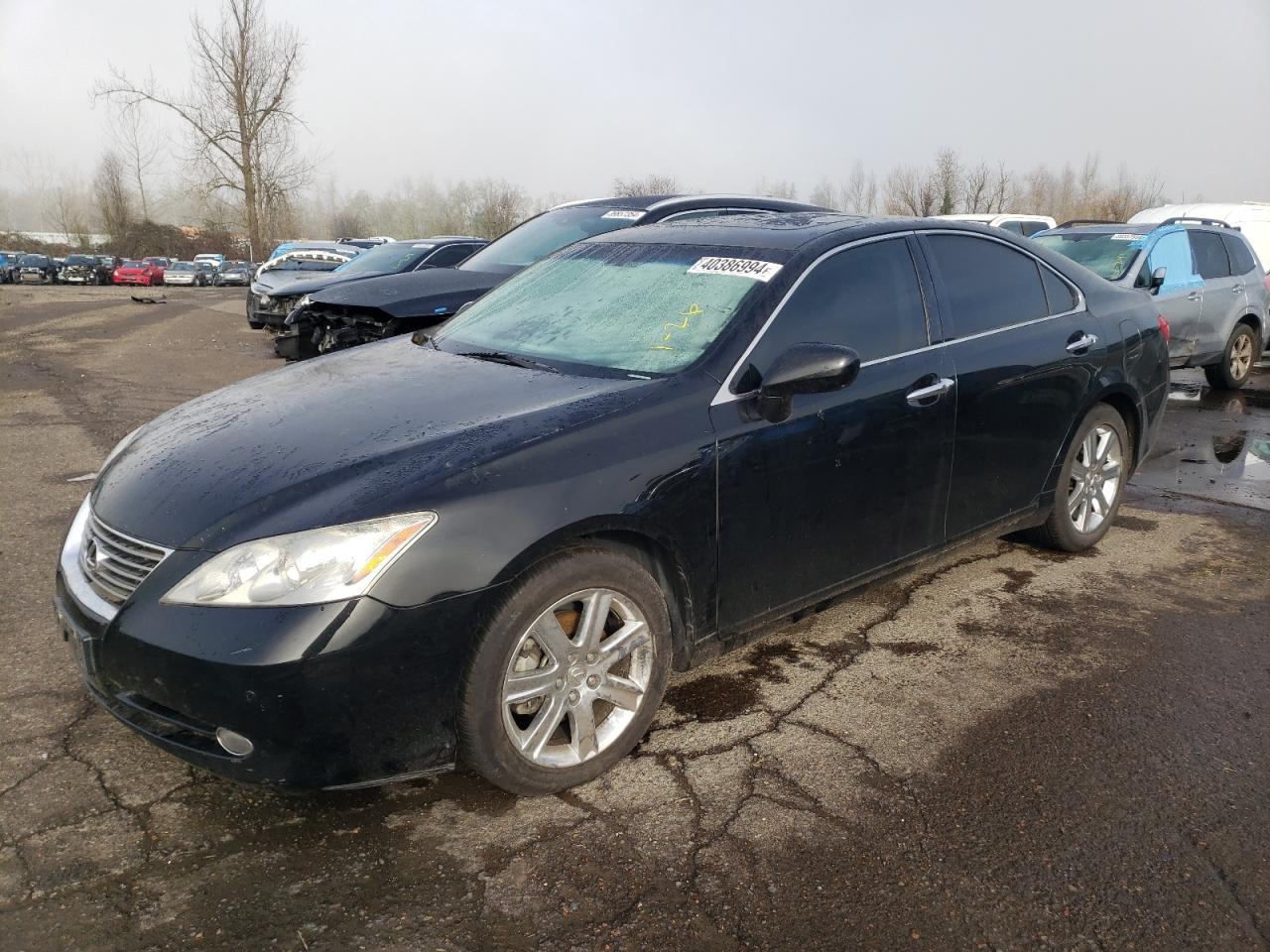 LEXUS ES 2009 jthbj46g592292245