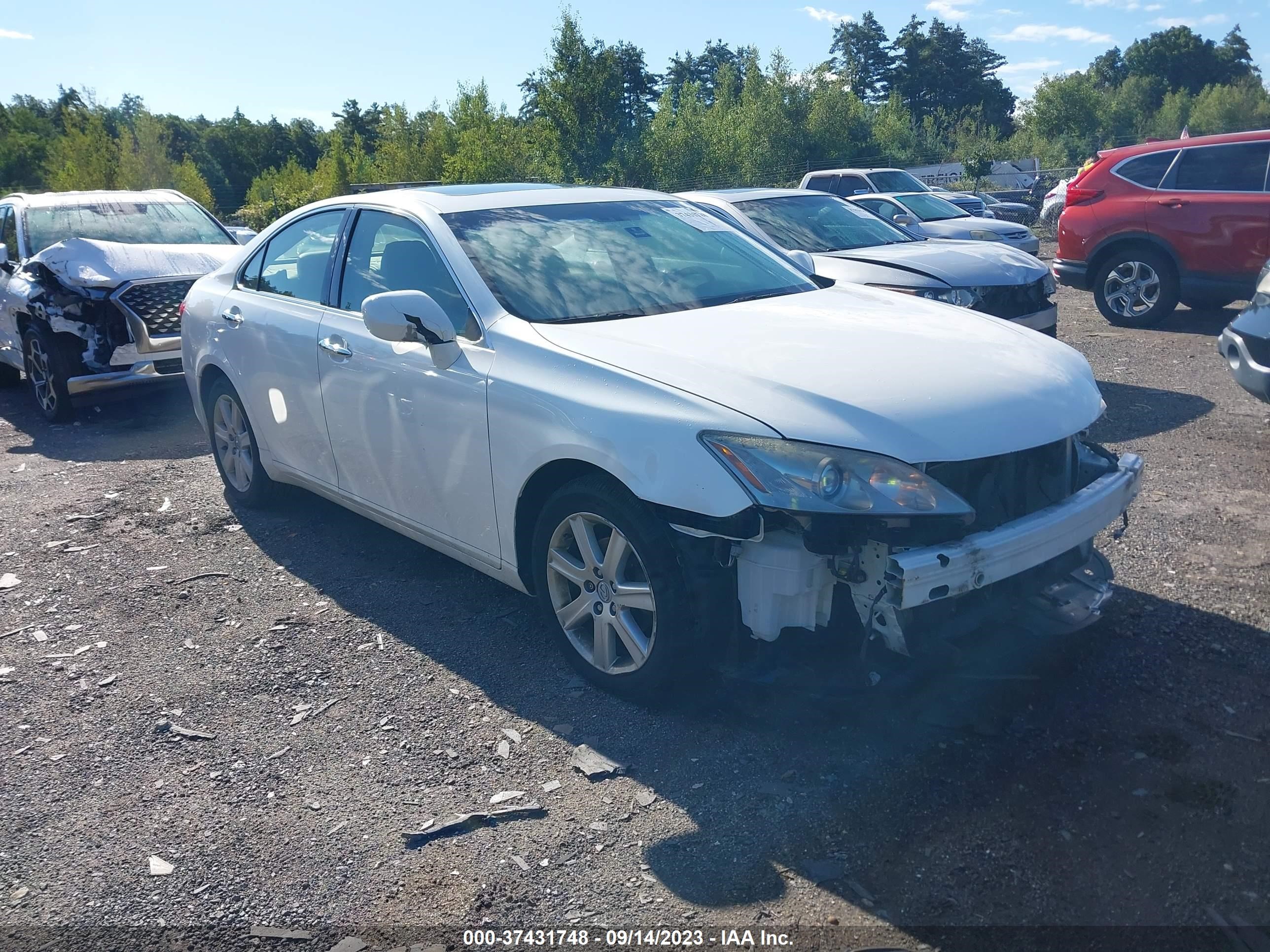 LEXUS ES 2007 jthbj46g772019949