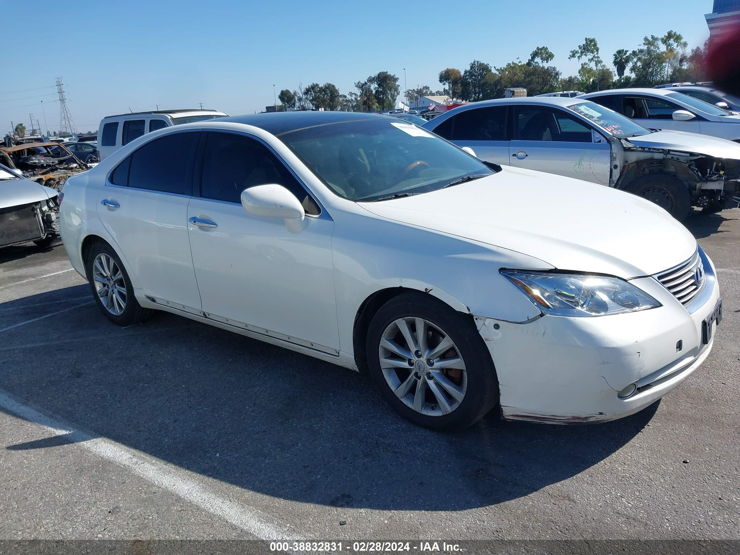 LEXUS ES 2007 jthbj46g872004263