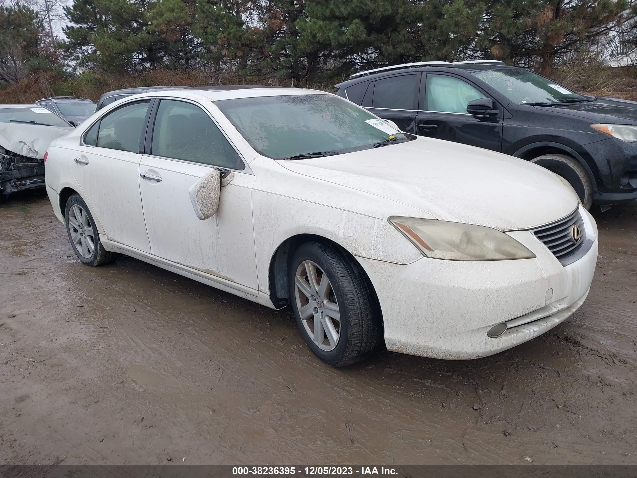 LEXUS ES 2007 jthbj46g872020723