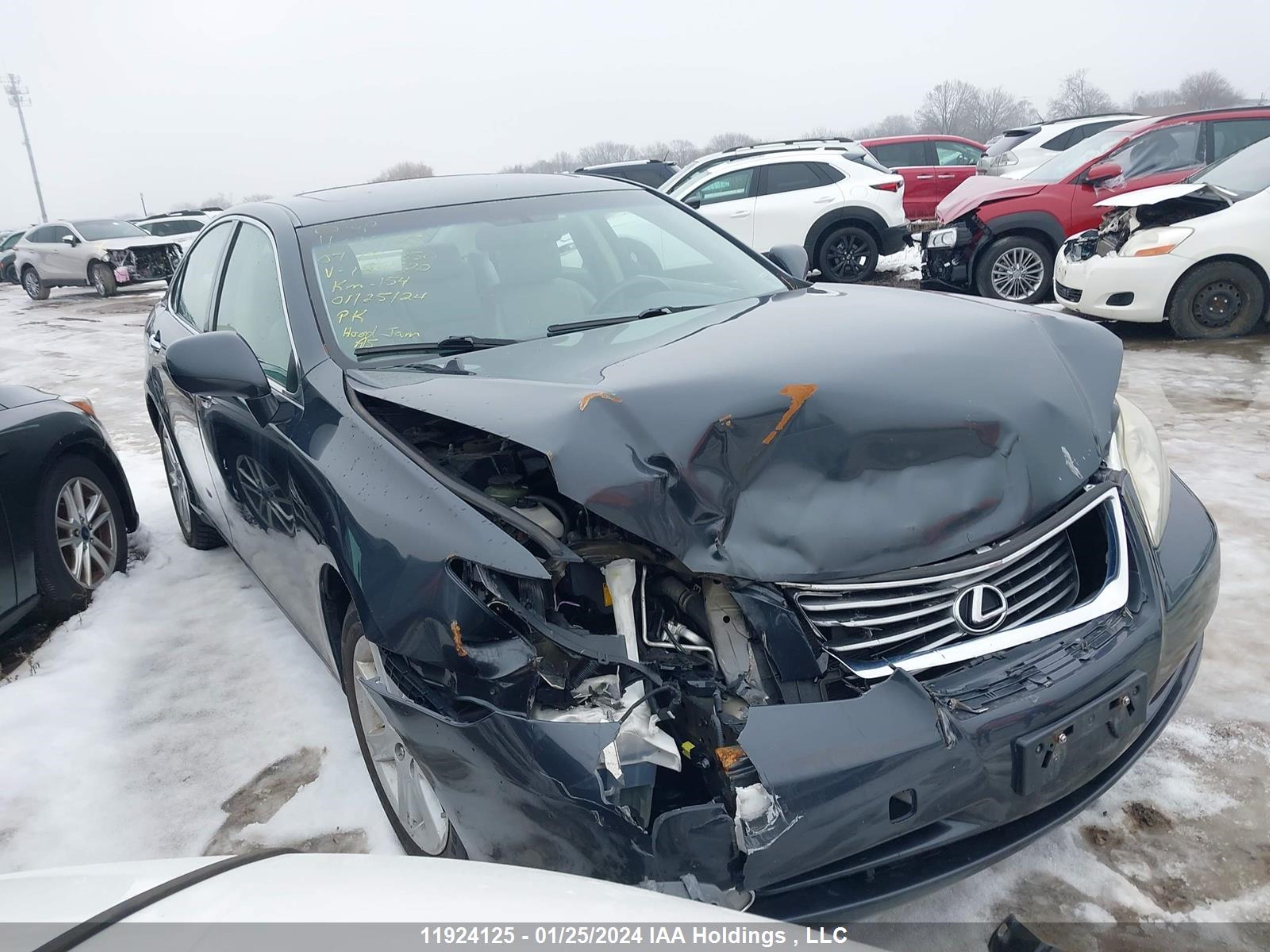 LEXUS ES 2007 jthbj46g872139520