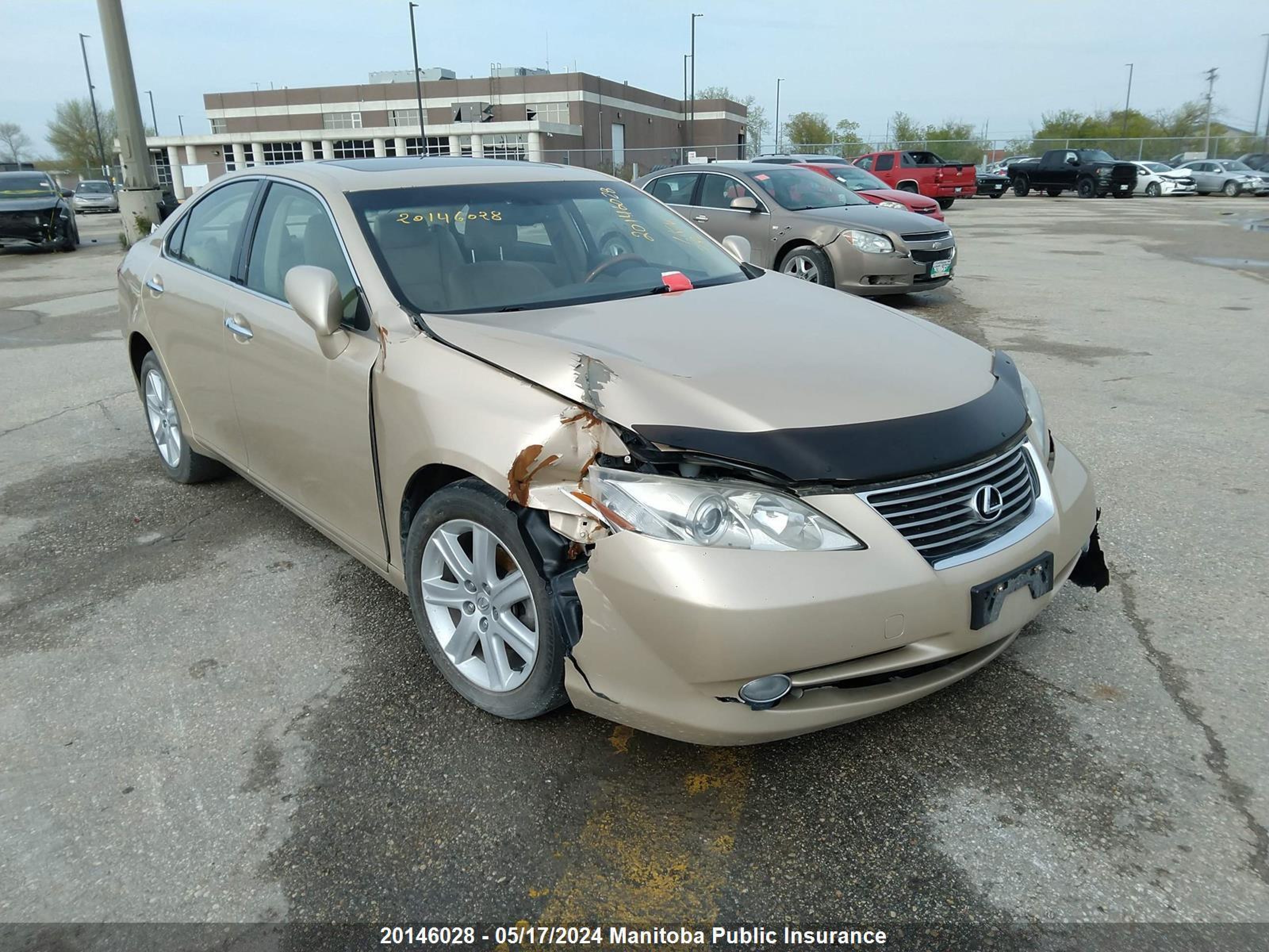 LEXUS ES 2007 jthbj46gx72004863