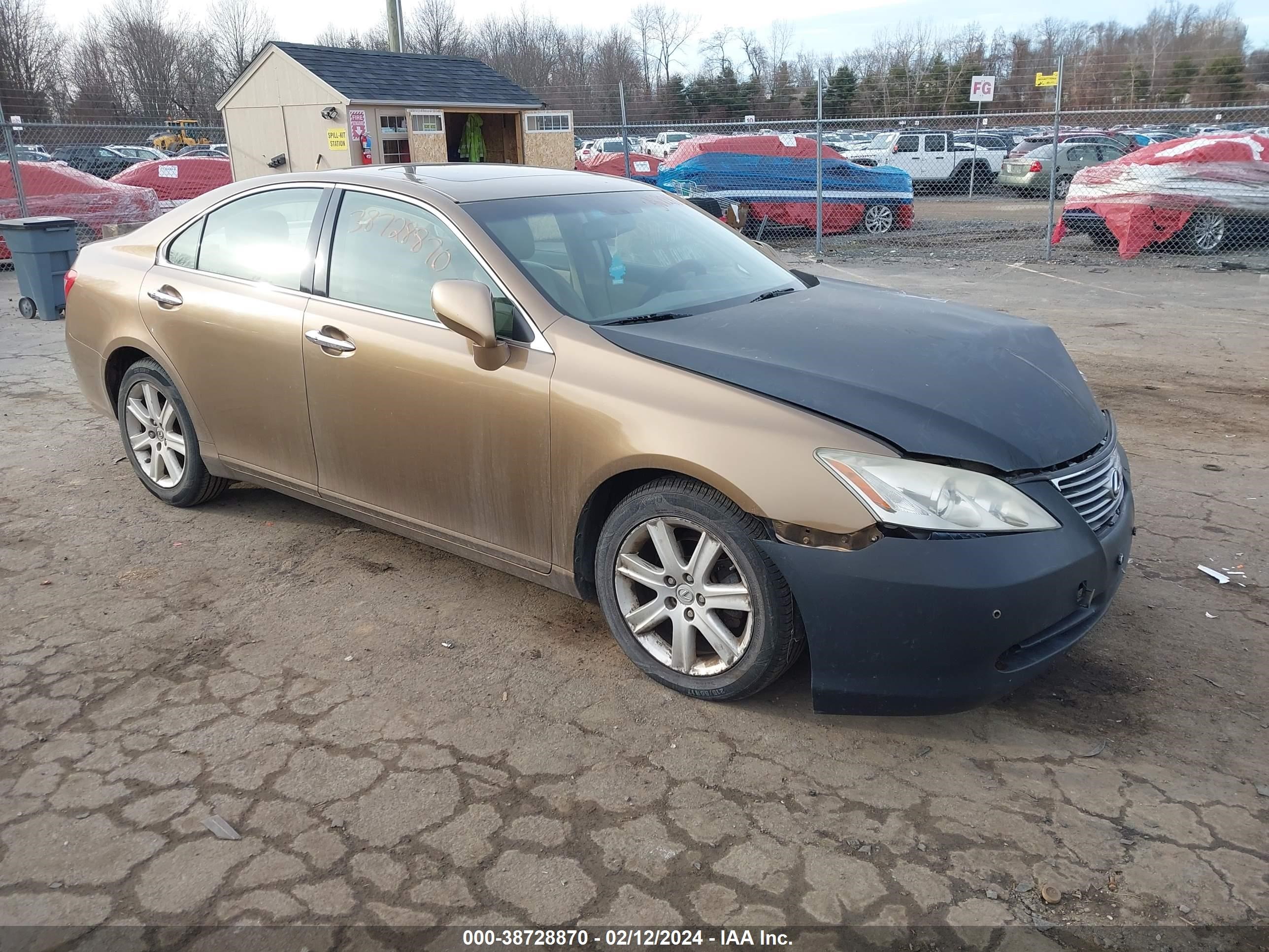 LEXUS ES 2007 jthbj46gx72029293