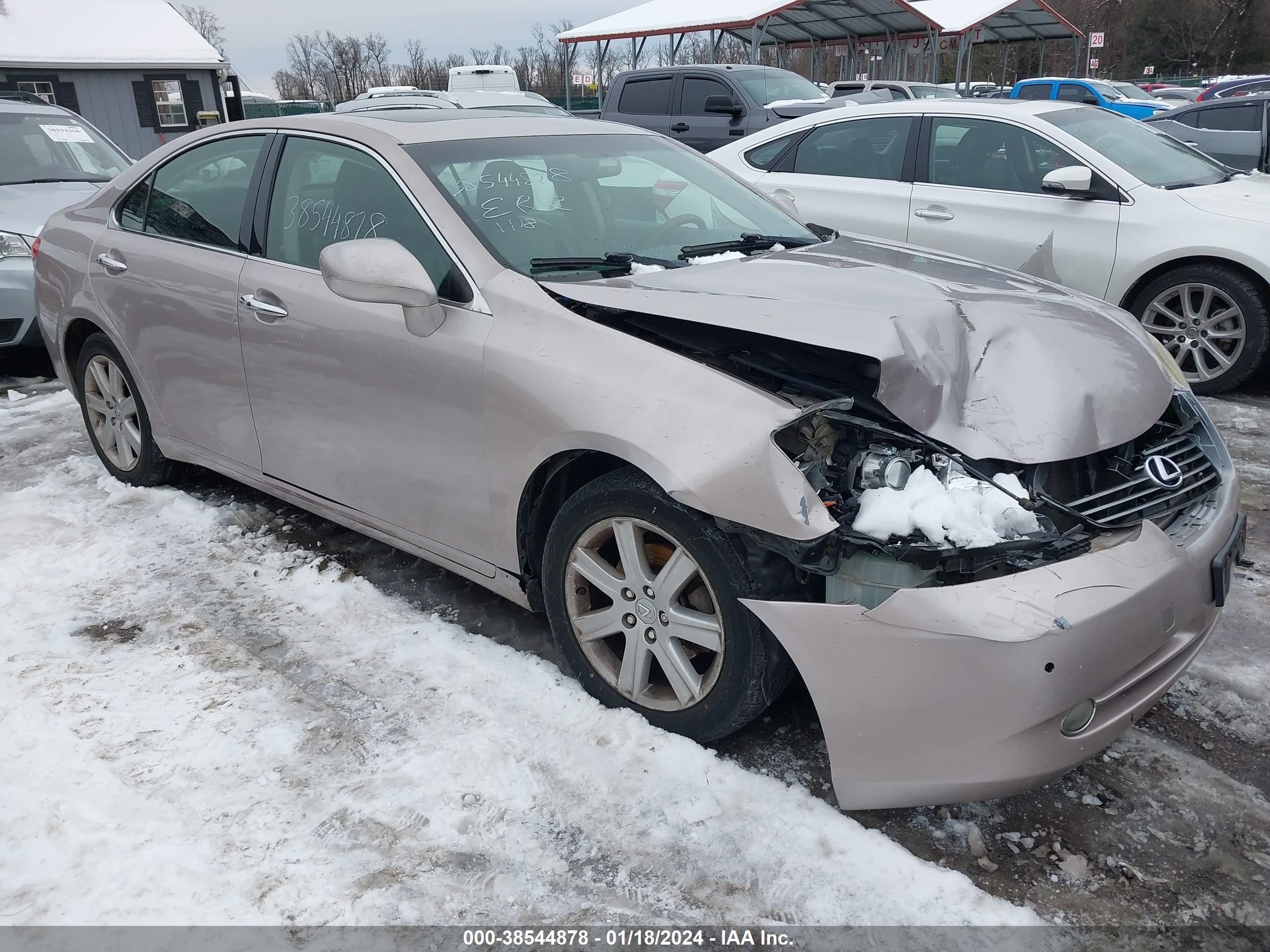 LEXUS ES 2007 jthbj46gx72042268