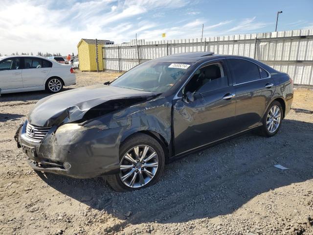 LEXUS ES 350 2007 jthbj46gx72071012