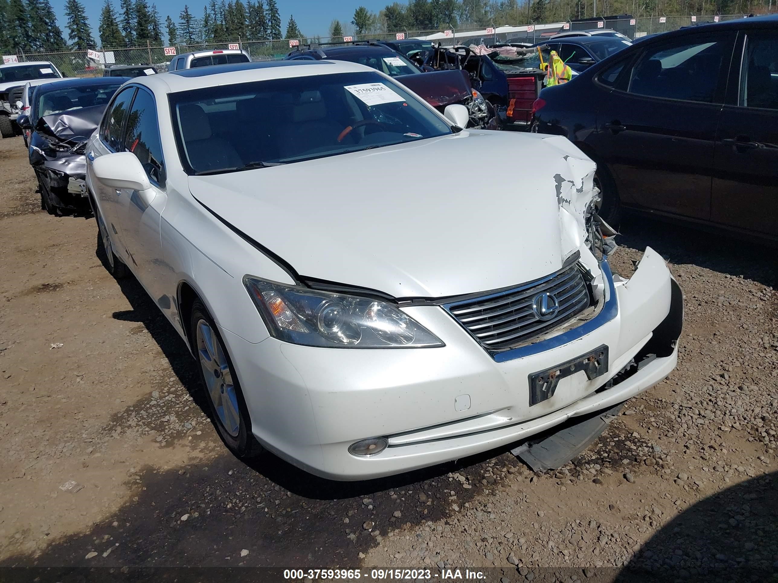 LEXUS ES 2007 jthbj46gx72140152