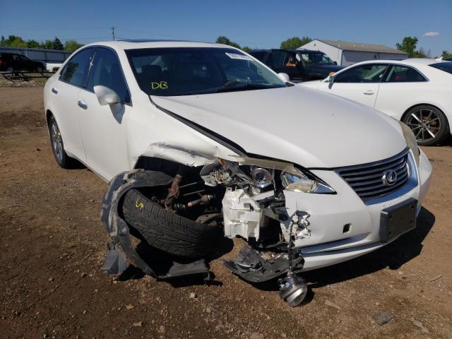 LEXUS ES 350 2009 jthbj46gx92304695