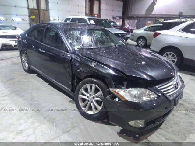 LEXUS ES 350 2010 jthbk1eg0a2342518