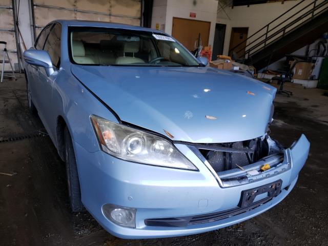 LEXUS ES 350 2010 jthbk1eg0a2347623