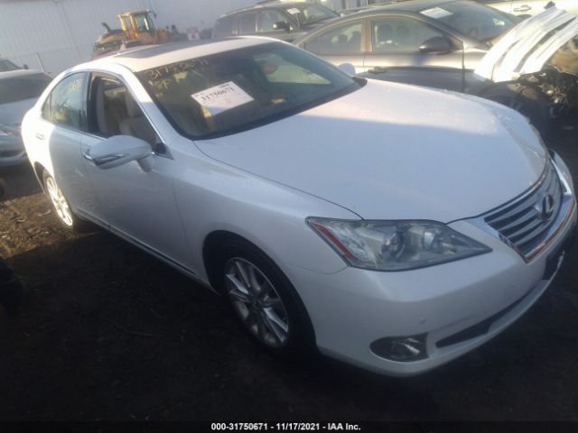 LEXUS ES 350 2010 jthbk1eg0a2347668