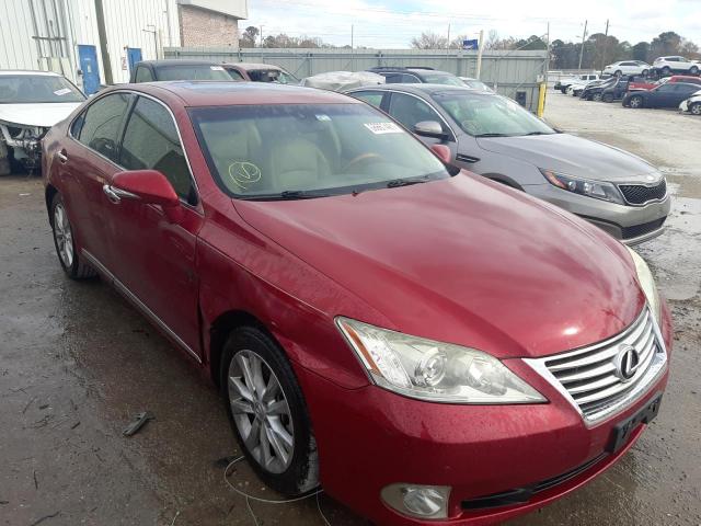 LEXUS ES 350 2010 jthbk1eg0a2352594