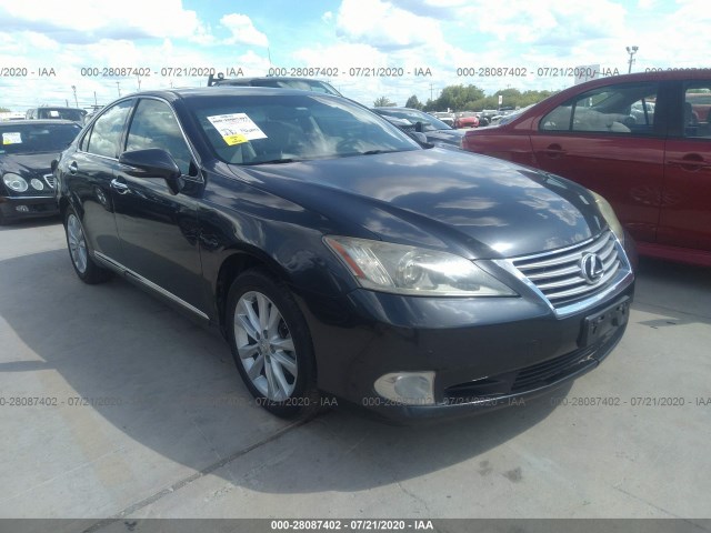 LEXUS ES 350 2010 jthbk1eg0a2352806