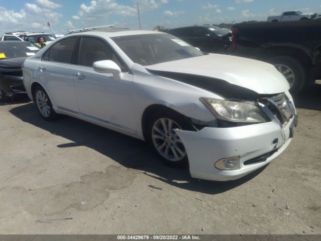 LEXUS ES 350 2010 jthbk1eg0a2354331