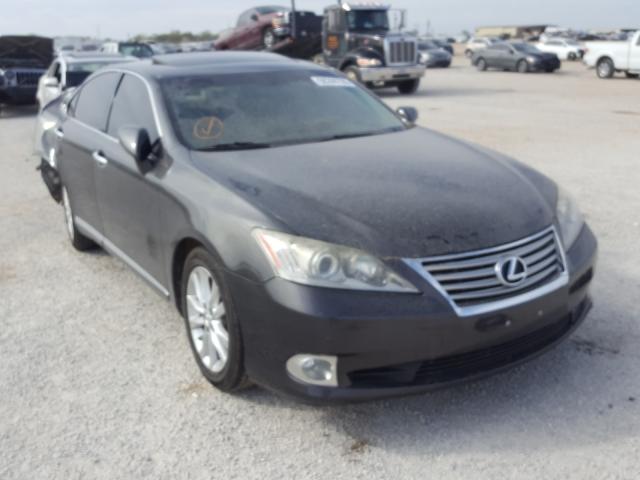 LEXUS ES 350 2010 jthbk1eg0a2355267