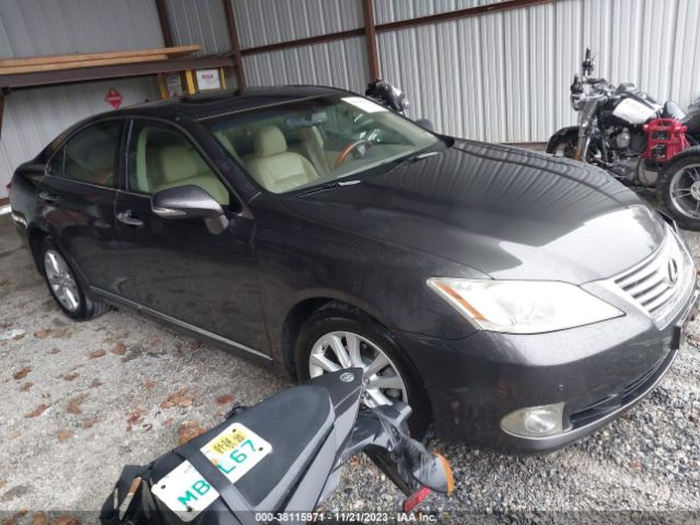 LEXUS ES 350 2010 jthbk1eg0a2357584