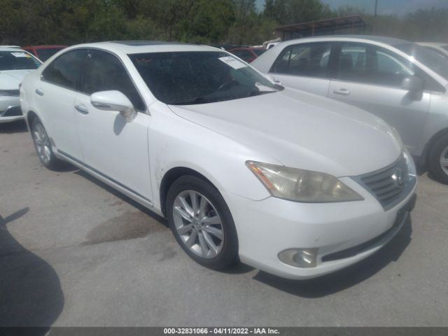 LEXUS ES 350 2010 jthbk1eg0a2359299