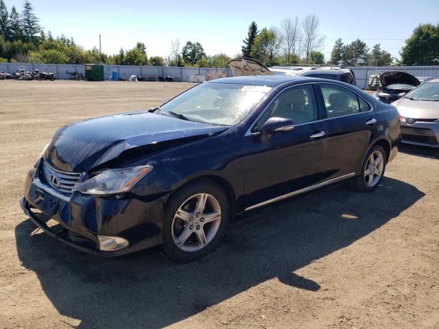 LEXUS ES 350 2010 jthbk1eg0a2359951