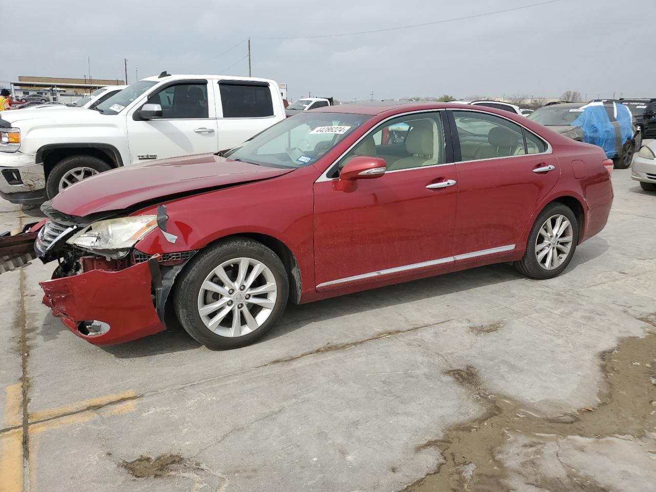 LEXUS ES 2010 jthbk1eg0a2360789