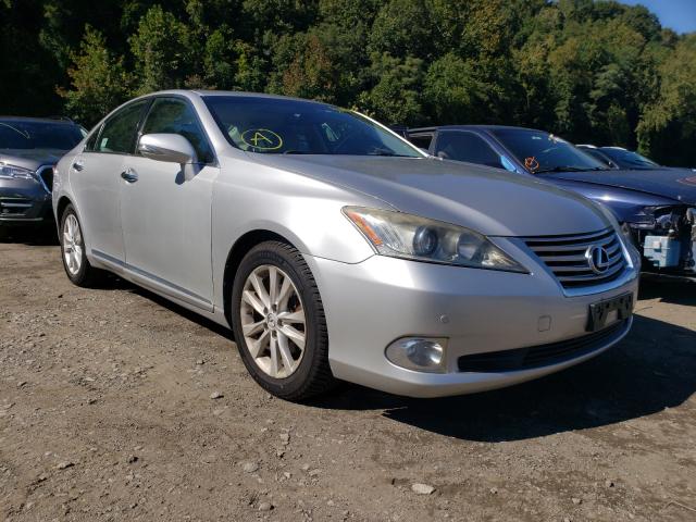 LEXUS ES 350 2010 jthbk1eg0a2361182