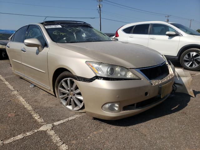 LEXUS ES 350 2010 jthbk1eg0a2363790