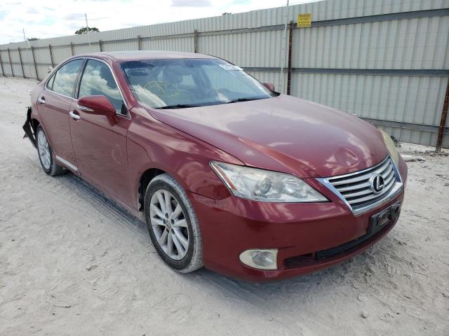 LEXUS NULL 2010 jthbk1eg0a2365622