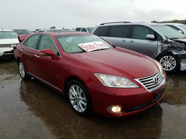 LEXUS ES 350 2010 jthbk1eg0a2365801