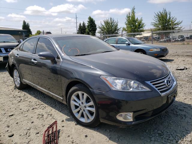 LEXUS ES 350 2010 jthbk1eg0a2368035