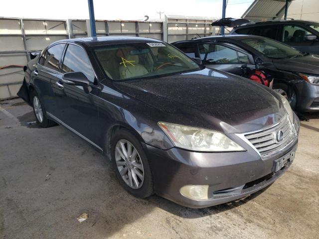 LEXUS ES 350 2010 jthbk1eg0a2368309