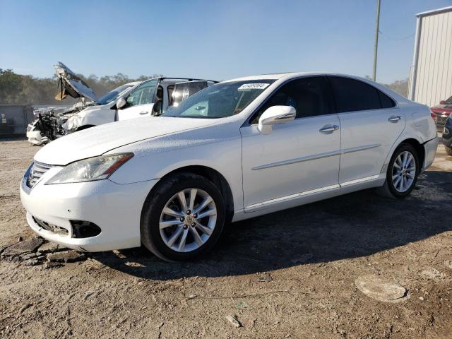 LEXUS ES350 2010 jthbk1eg0a2368746